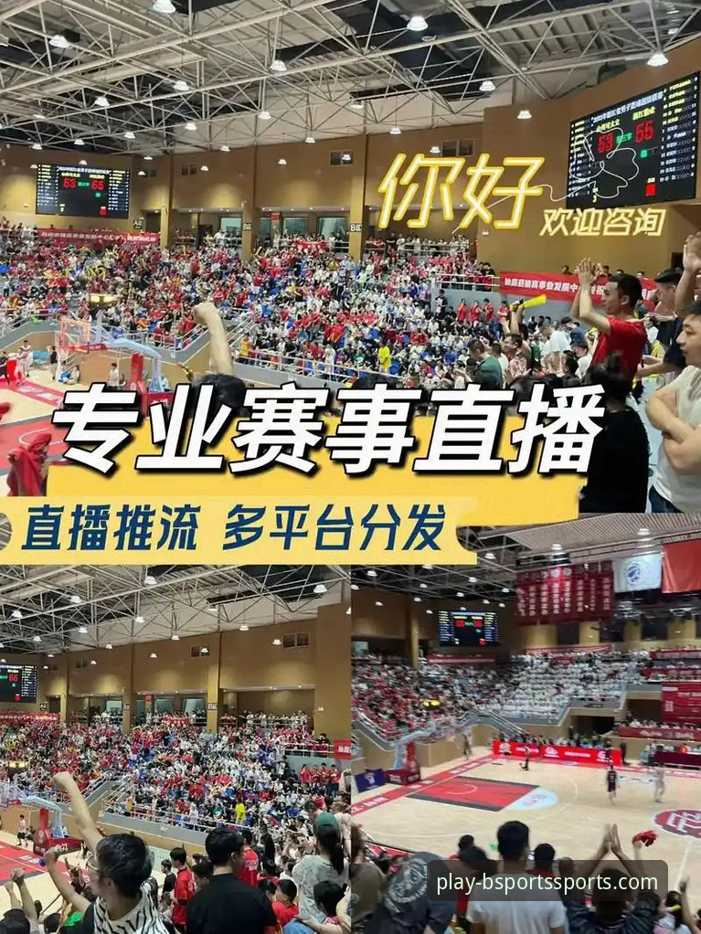 B体育官方平台：一个专业体育赛事直播生态的深度解析