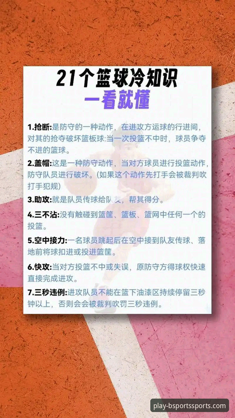 B体育手机版下载与使用全攻略：新手必备知识