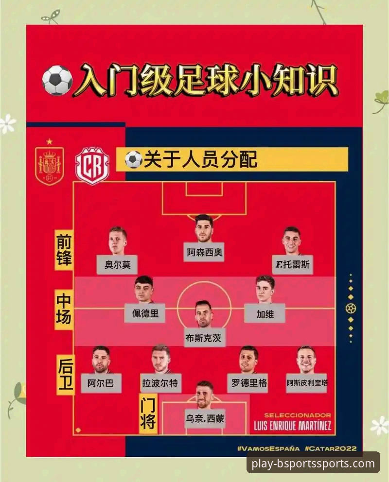 欧美杯赛事取消：一次关于顶级赛事运营与球迷体验的深度分析指南